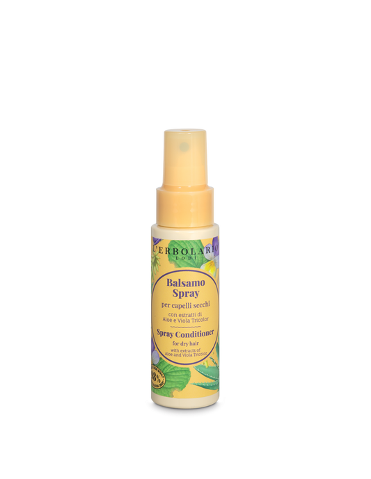 Après-shampoing en spray pour cheveux secs