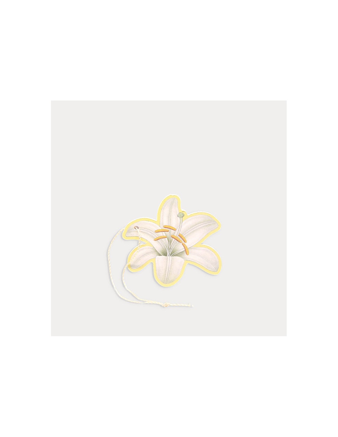 Sachet parfumé polyvalent Lily - Lys